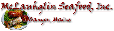 header3.gif (17393 bytes)